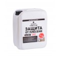 Prosept Fungi Stop Защита от плесени