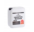 Prosept Salt Cleaner Удалитель высолов