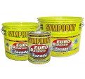 Symphony Euro-Balance Fasade Siloxan силоксаномодифицированная водоразбавляемая краска