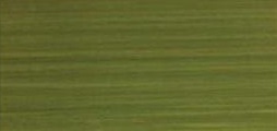 R1041.jpg