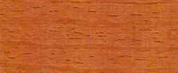 R575.jpg